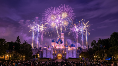 Disneyland's 70th Anniversary Ends August 9